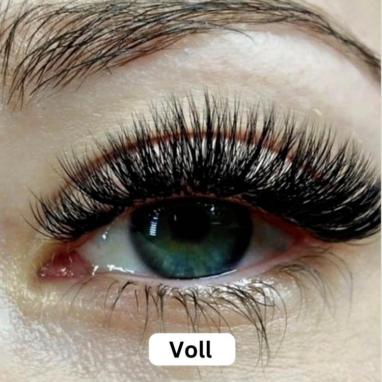 QuickLash | Wimpern Magnet Kit